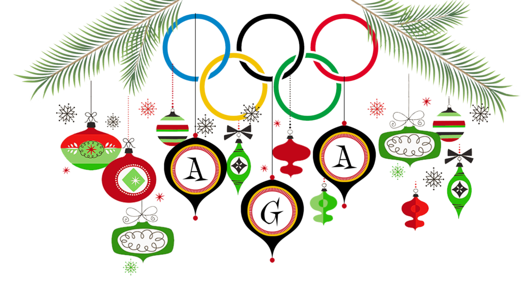 American Gymnastics Academy » Holiday Show